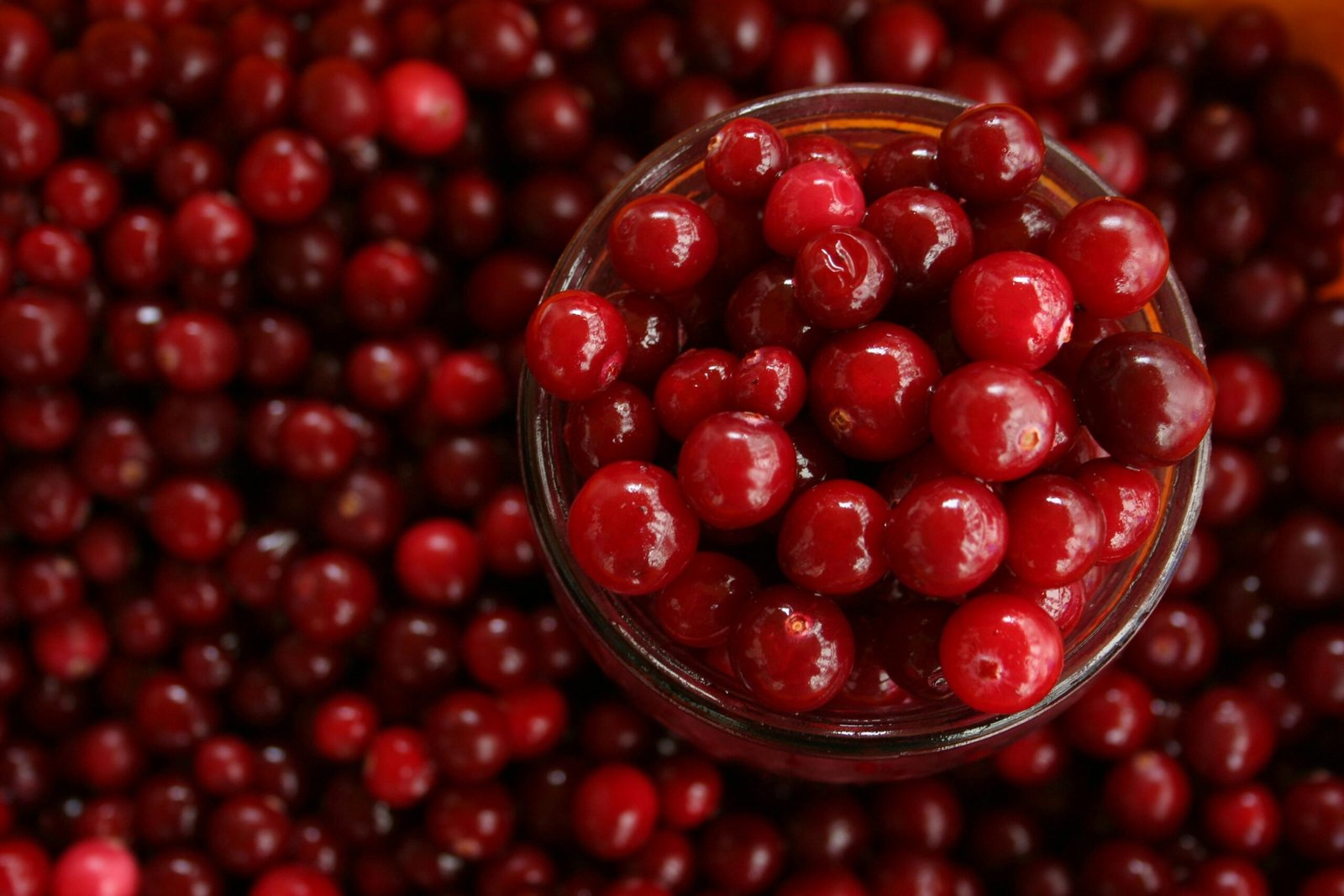 Process Analysis: Cranberry Case